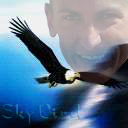 SkyBird